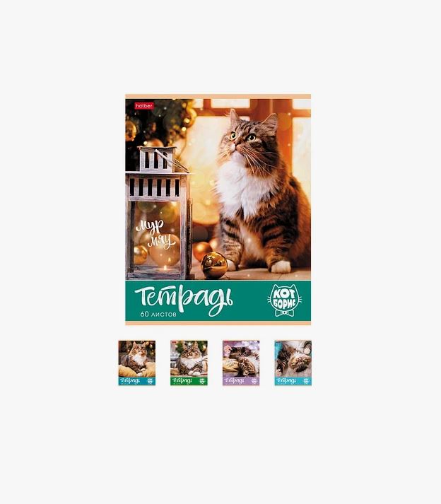 Тетрадь "Hatber", 60л, А5, клетка, на скобе, серия "Кот Борис"