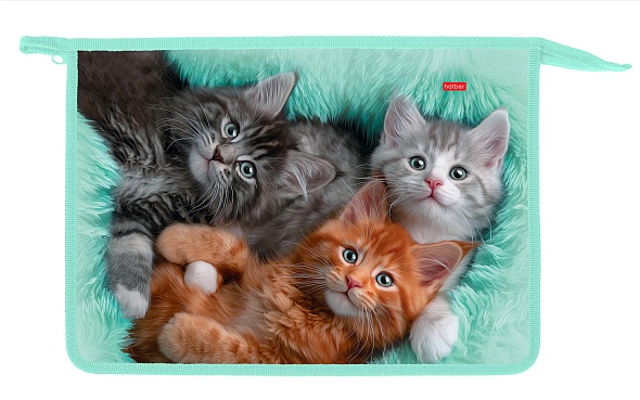 Папка для тетрадей А4, "Котики бывают разными" 2 отделения, на молнии 