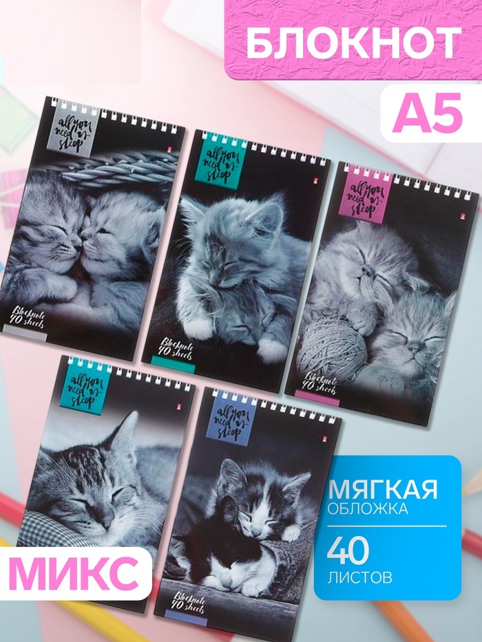 Блокнот «Кошки», А5, 40 листов, на гребне, МИКС