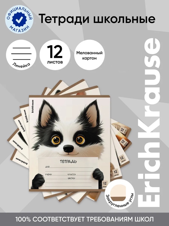 Тетрадь 12л лин ErichKrause "Note Friends", обл.мел.кар., МИКС 