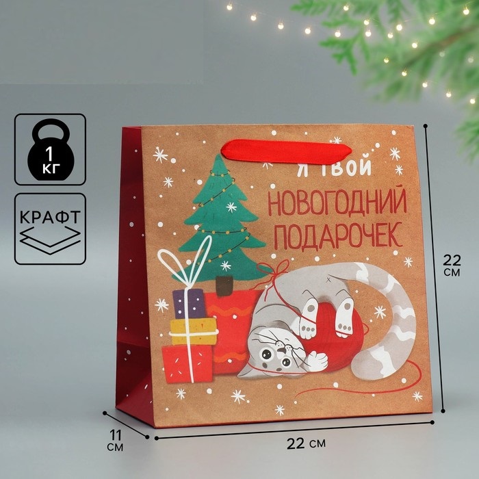 Пакет подарочный новогодний крафтовый квадратный «Подарочек», 22×22×11 см