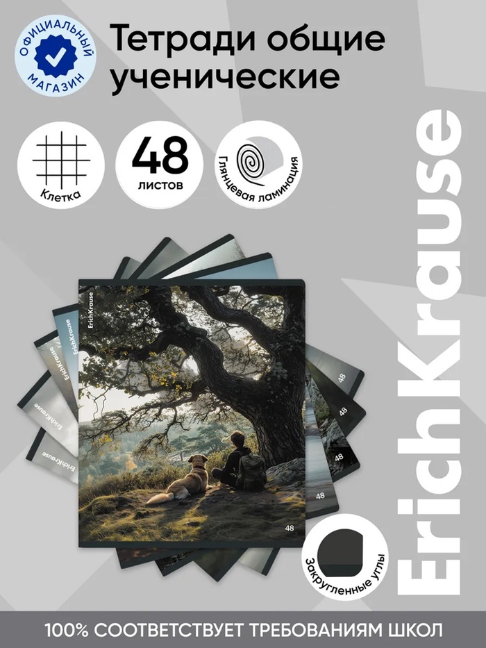 Тетрадь 48л кл ErichKrause "Friends", обл.мел.карт., глянц.лам МИКС 