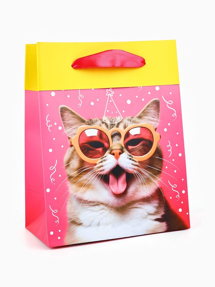 Пакет ламинированный двухсторонний «Котик», MS 18×23×10 см