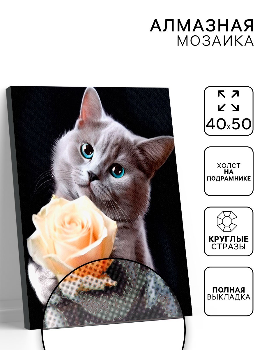 Алмазная вышивка полное заполнение «Котенок с розой», на раме, 40×50 см