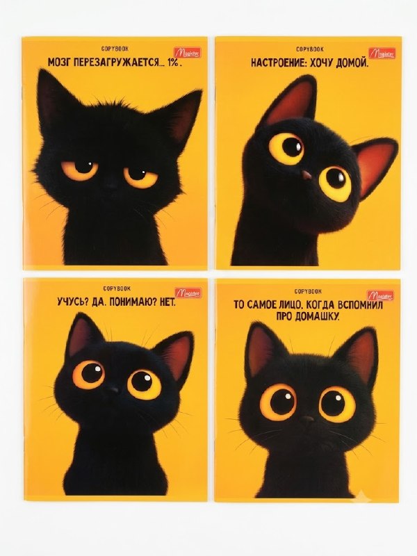 Тетрадь 24 листа, "Black Cat", клетка, микс