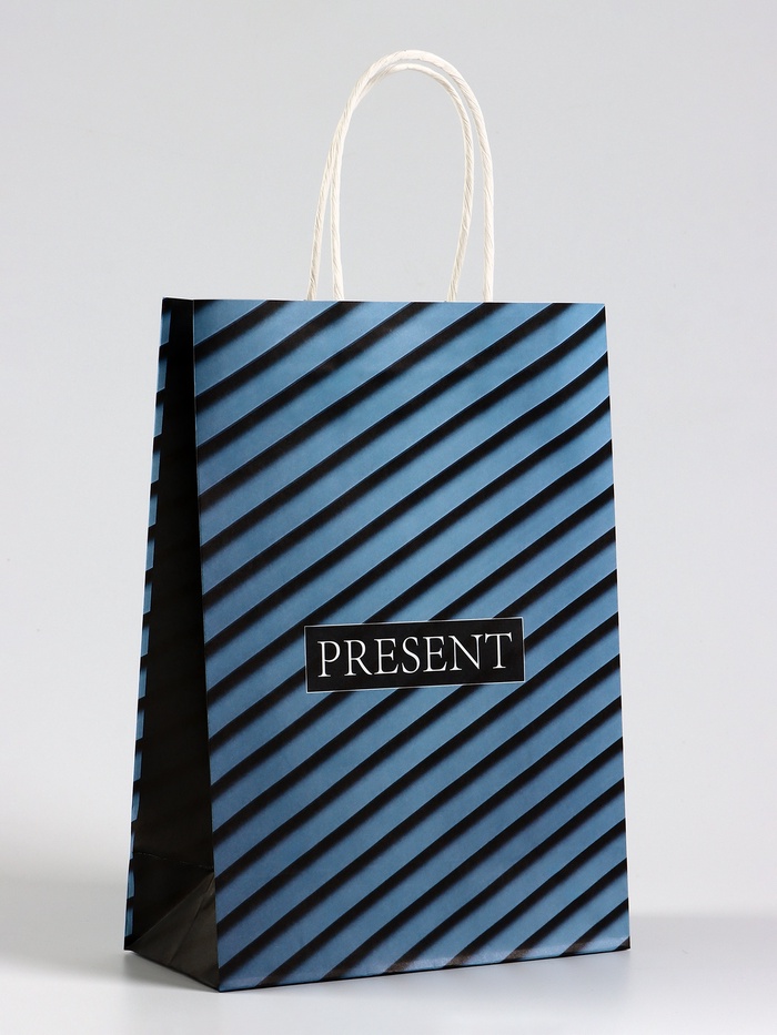 Пакет крафт «Present», 18 х 8 х 25 см   
