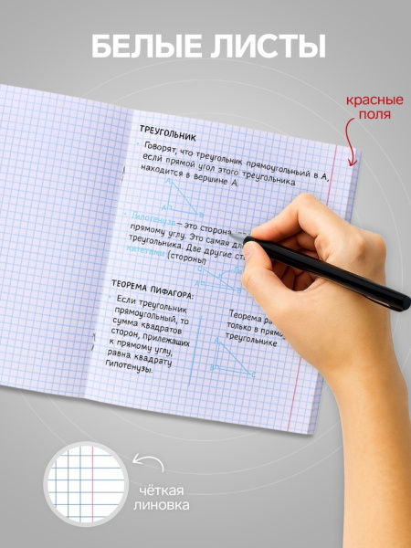 Тетрадь 96 листов в клетку, Calligrata «Текст на чёрном», МИКС