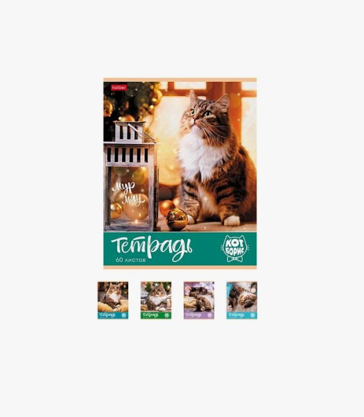 Тетрадь "Hatber", 60л, А5, клетка, на скобе, серия "Кот Борис"