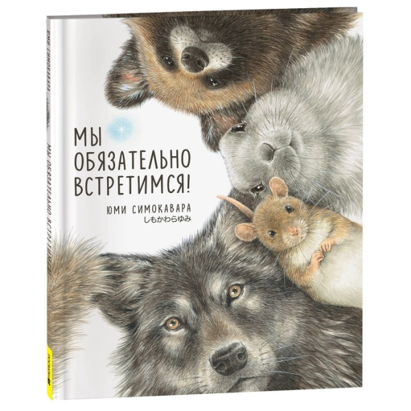 Юми Симокавара "Мы обязательно встретимся!"