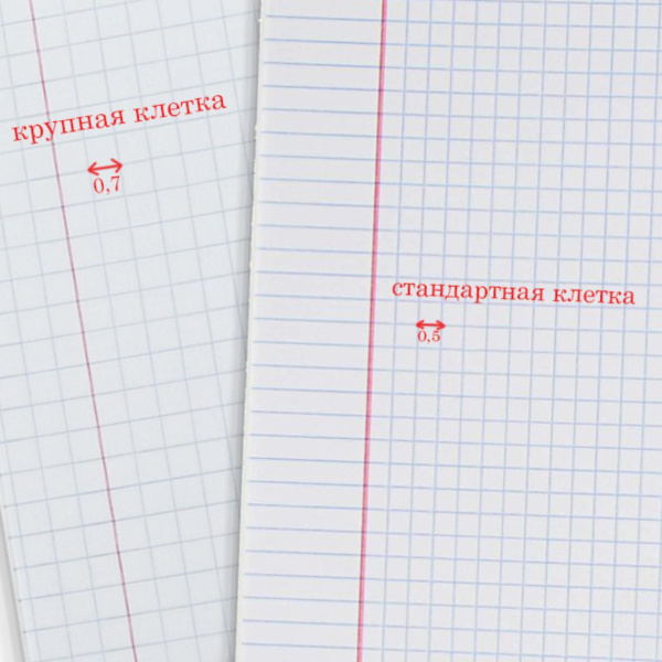 Тетрадь 12 листов крупная клетка "Зелёная обложка", с таблицей умножения, термоупаковка