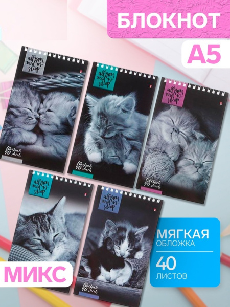 Блокнот «Кошки», А5, 40 листов, на гребне, МИКС