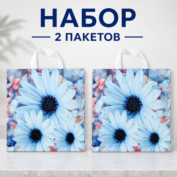 Набор пакетов "Дарси", полиэтиленовый с петлевой ручкой, 37 х 34 см, 2 шт.