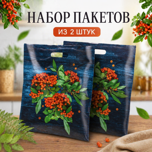 Набор пакетов "Рябинка", полиэтиленовый с вырубной ручкой, 38х45 см, 60 мкм,2 шт.
