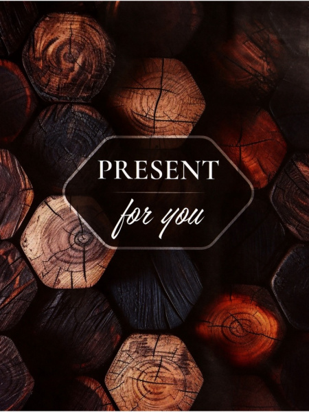 Пакет крафт «Present », 21 х 11 х 27 см   