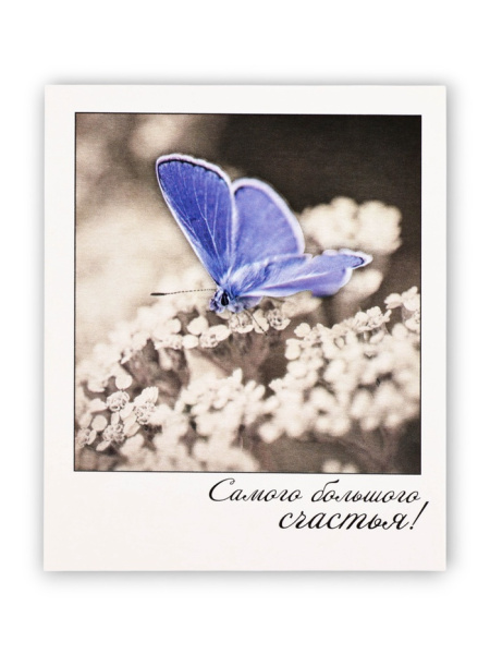 Мини-открытка «Самого большого счастья!», 9×11 см