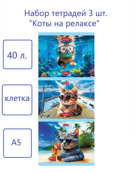Набор тетрадей 3 шт. "Коты на релаксе", 40л., клетка