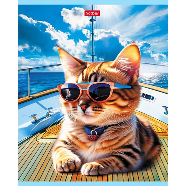 Тетрадь "Hatber", 40л, А5, клетка, на скобе, серия "Коты на релаксе"