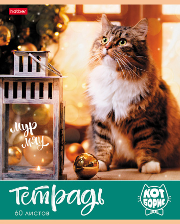 Набор тетрадей 4 шт., 60 л., клетка, Кот Борис