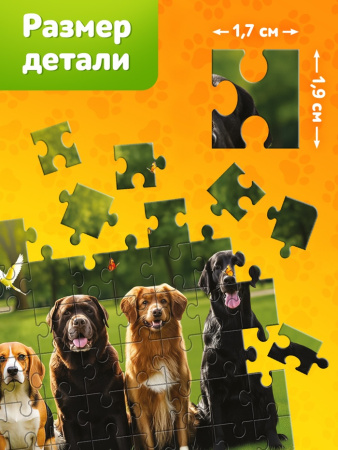 Пазл «Породы собак», 120 деталей