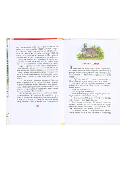Книга «Рассказы и сказки для детей», Паустовский К.Г., внеклассное чтение