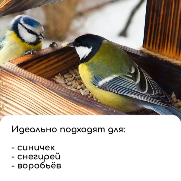 Кормушка - конструктор из ХДФ для птиц «Изба бревенчатая», 20×17×16 см, Greengo