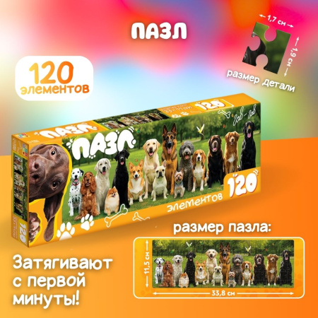Подарочный набор для девочки "Играй, твори, удивляй!