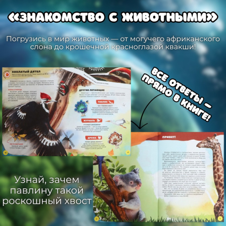 «Набор энциклопедий 4D в дополненной реальности»