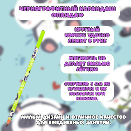 «Панда-комплект для учёбы»