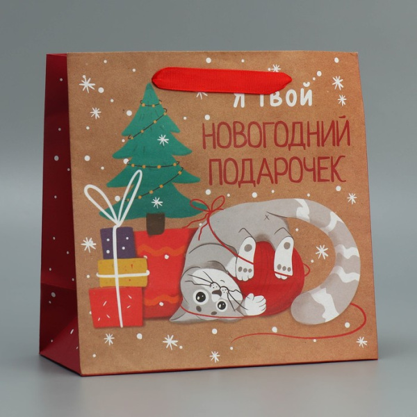 Пакет подарочный новогодний крафтовый квадратный «Подарочек», 22×22×11 см