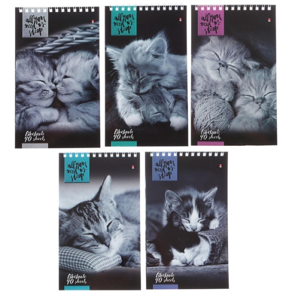 Блокнот «Кошки», А5, 40 листов, на гребне, МИКС