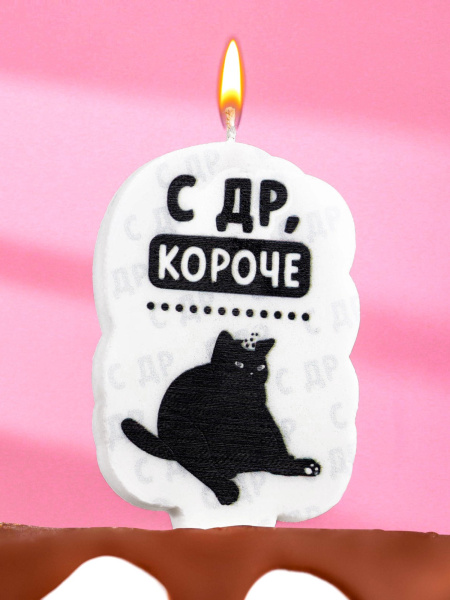 Свеча для торта "С др, короче", кот, 5х8,5 см, белая 7761390
