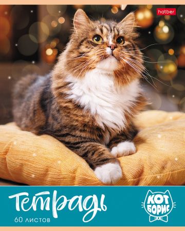 Набор тетрадей 4 шт., 60 л., клетка, Кот Борис