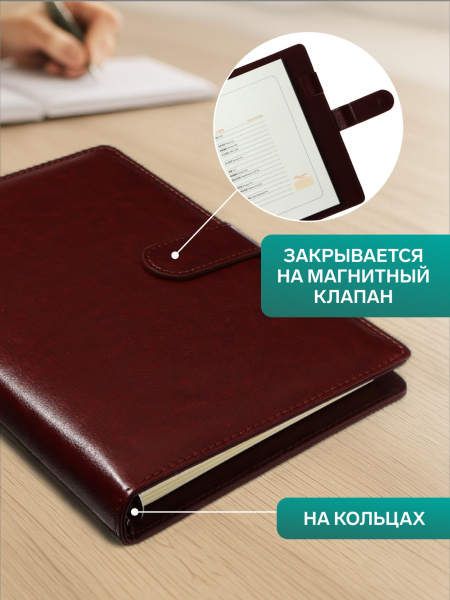 Ежедневник-органайзер Calligrata «Классика», А5, 96 листов, на кнопке, МИКС