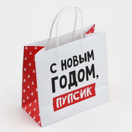Пакет подарочный новогодний «С Новым годом, пупсик», 22×22×11 см