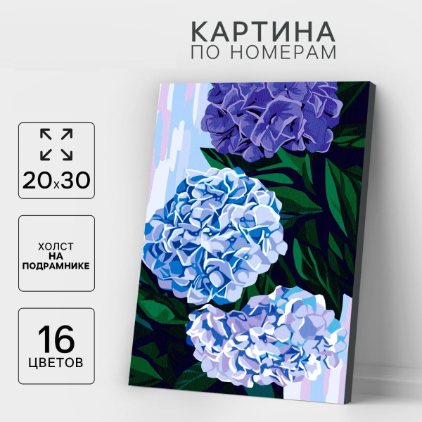 Картина по номерам на холсте с подрамником «Гортензии», 20×30 см
