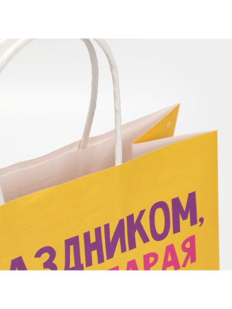 Пакет подарочный «Клюшка», 22 х 22 х 11 см