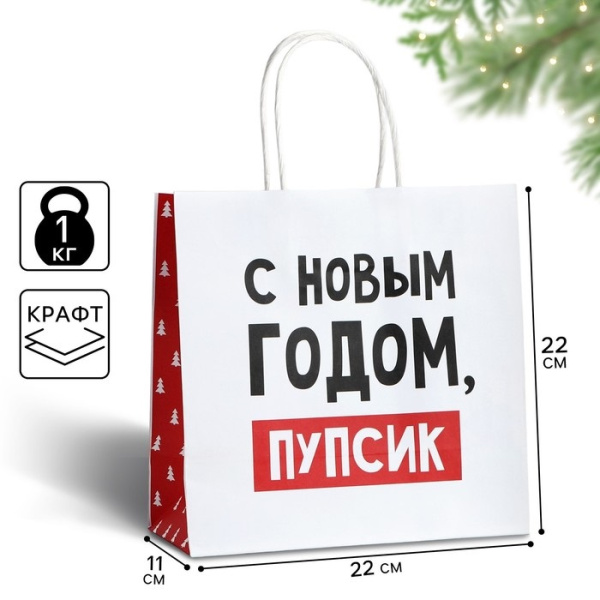Пакет подарочный новогодний «С Новым годом, пупсик», 22×22×11 см