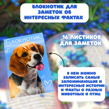 Энциклопедия «Забавные факты о животных» +подарок блокнотик