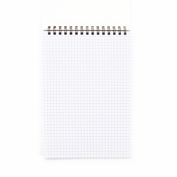 Блокнот А5, 40 л., обложка картон «Коты»