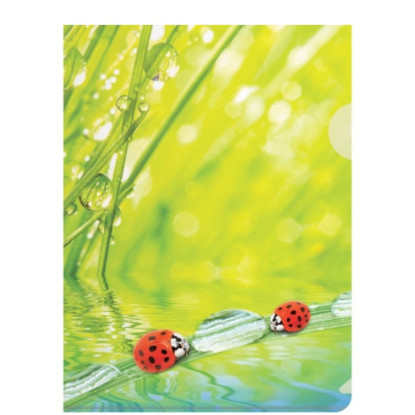 Папка-уголок А4, 180 мкм Ladybird