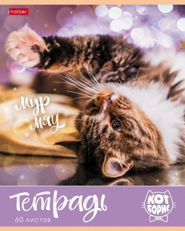 Набор тетрадей 4 шт., 60 л., клетка, Кот Борис