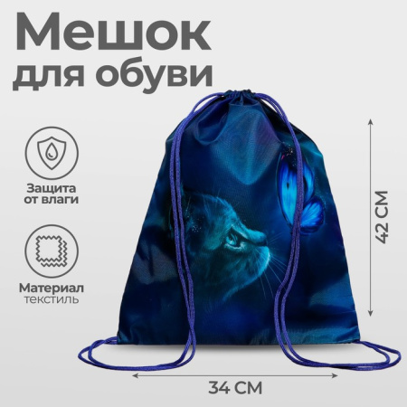 Мешок для обуви «Котик» (полиэстер, плотность 210D) 42×34 см